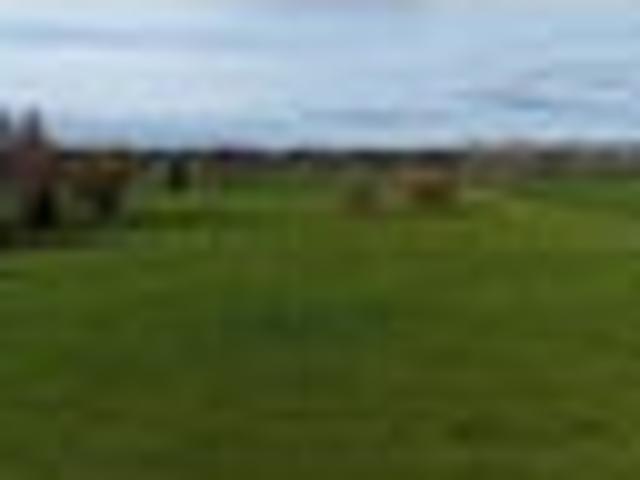 Land for sale in Otorohanga, Waikato