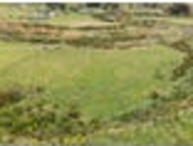 Land for sale in Manawatu District