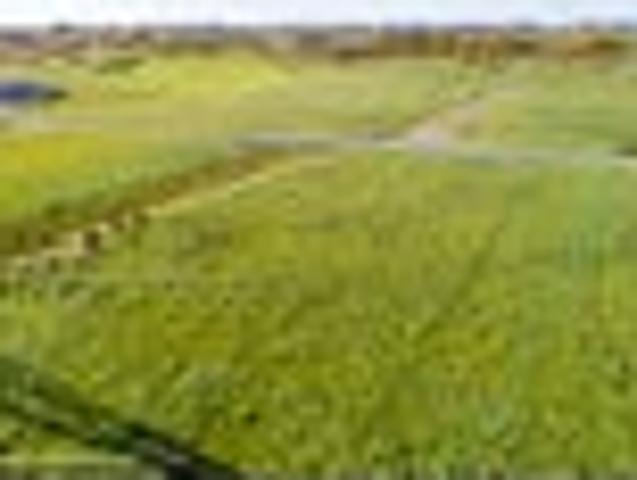Land for sale in Manawatu District