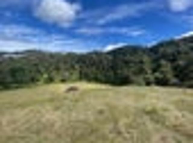 Land for sale in Waikato