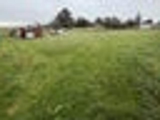 Land for sale in Te Kiri, Taranaki