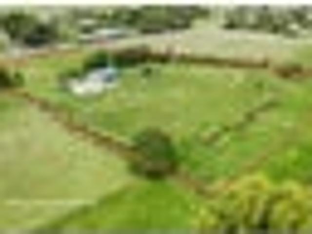 Land for sale in Tararua District