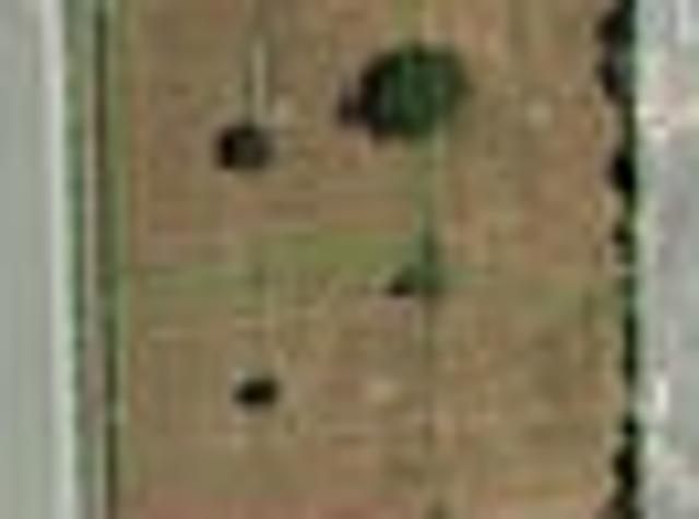 Land for sale in Morrinsville, Waikato