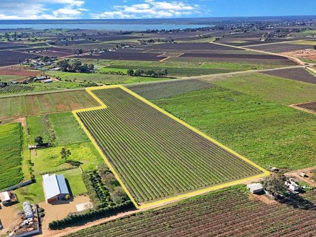 Land for sale in Barmera, South Australia
