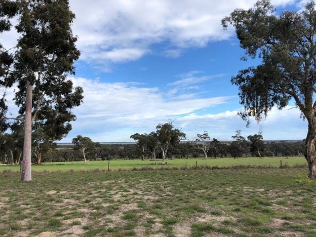 Acreage for sale in Padthaway, South Australia