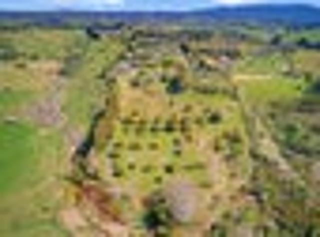 House for sale in Whakamarama, Bay Of Plenty