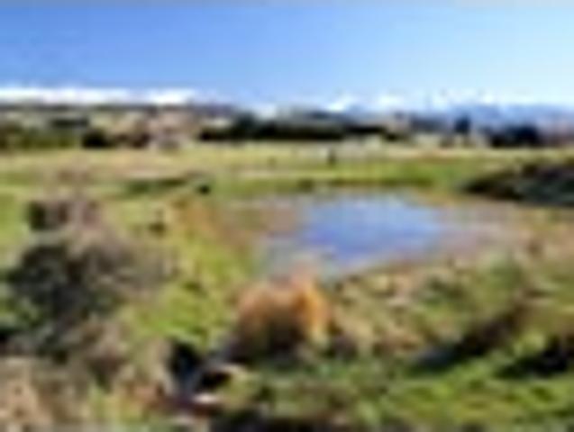 Land for sale in Southland