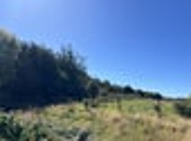 Land for sale in West Coast