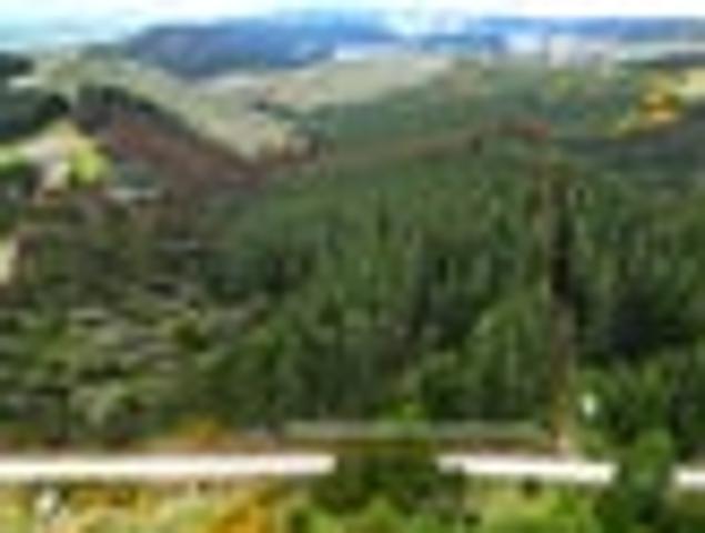 Land for sale in Clutha District, Otago