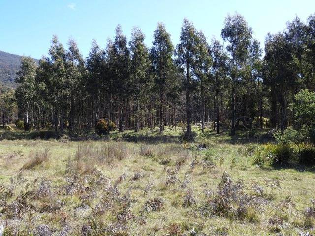 Cottage for sale in Blackwood Creek, Tasmania