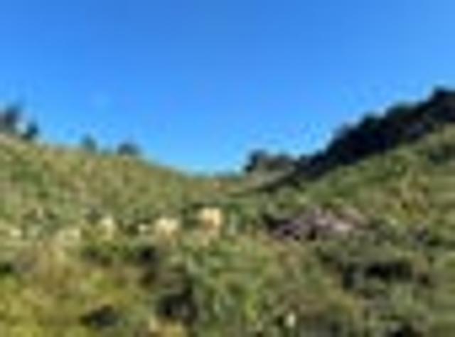 Land for sale in Taraunui, Northland