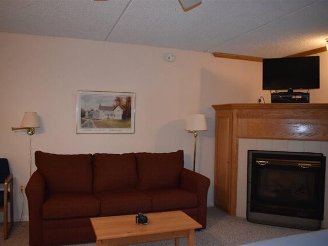 Condo for sale in Cambridge, Vermont