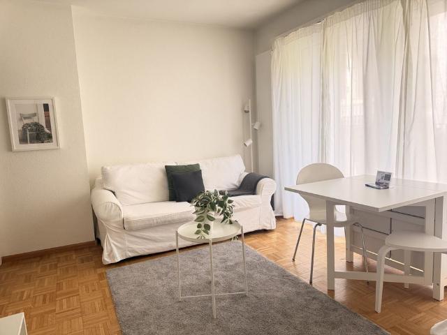 Apartment mieten in Grossbasel, Basel