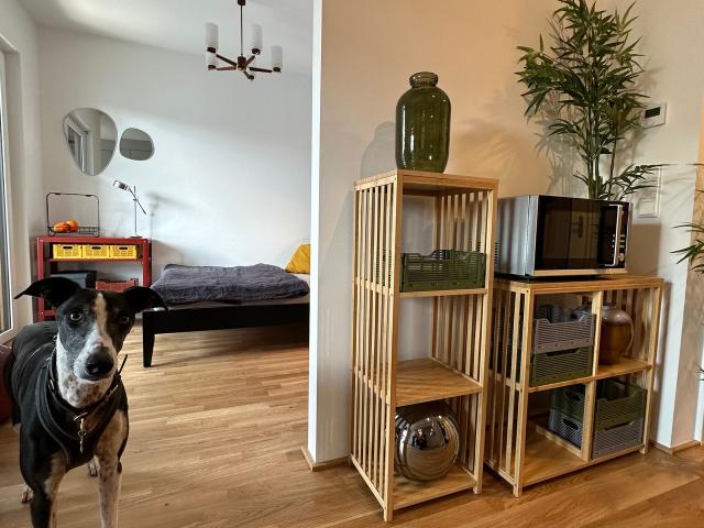 Apartment mieten in Griesheim, Sachsenhausen