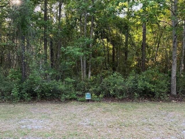Land for sale in White Oak, Georgia