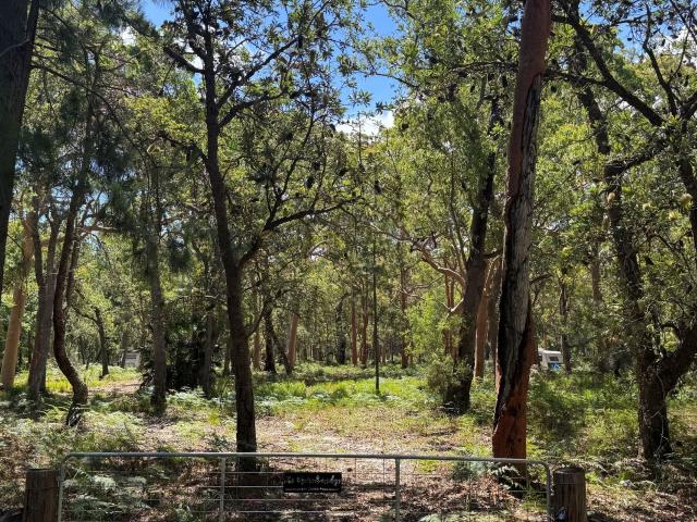 Property for sale in Pindimar, New South Wales