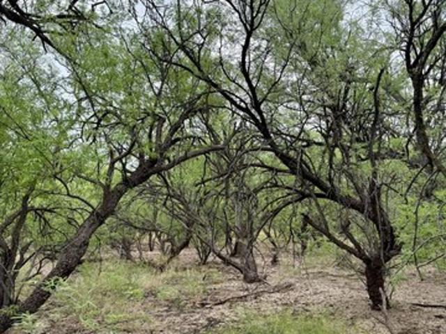 Land for sale in Cochise, Arizona