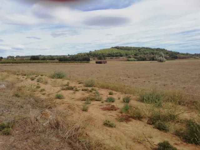 Terrain vente à Béziers, Lignan-sur-orb