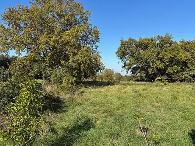 Terrain vente à Châteaubriant-Ancenis, Ligné