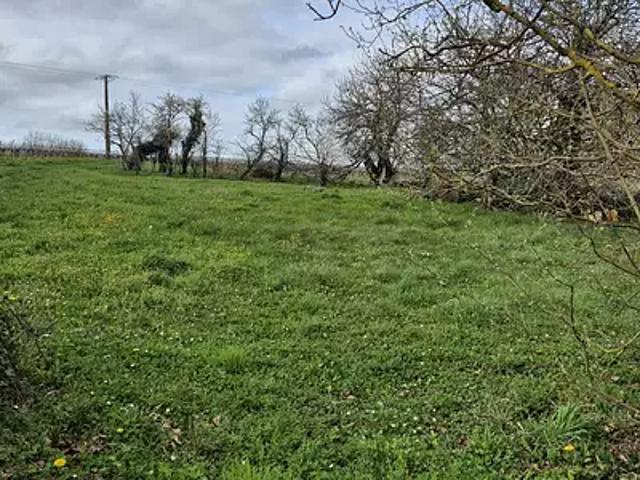 Terrain vente à Cognac, Saint-preuil