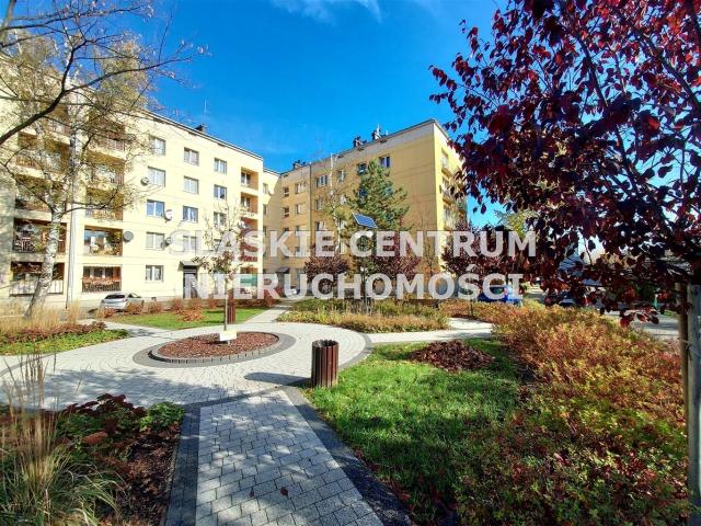 Mieszkanie do wynajęcia w Katowice, Śląskie
