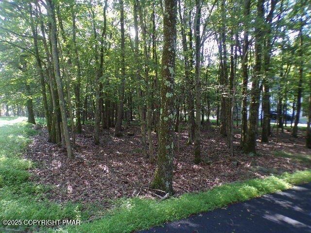 Land for sale in Albrightsville