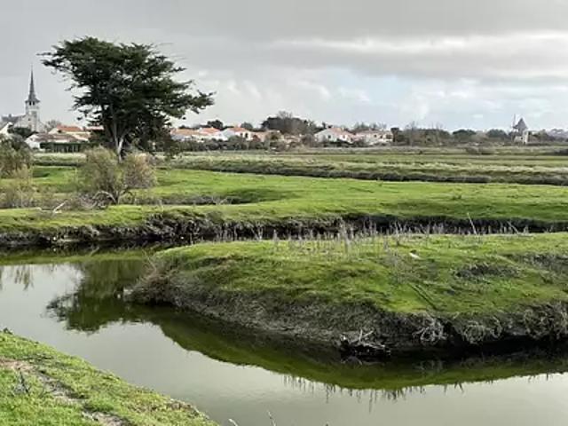 Terrain vente à Les Sables-d'Olonne, L'ile-d'olonne