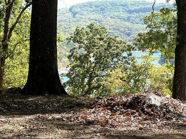 Land for sale in Kimberling City, Stone County
