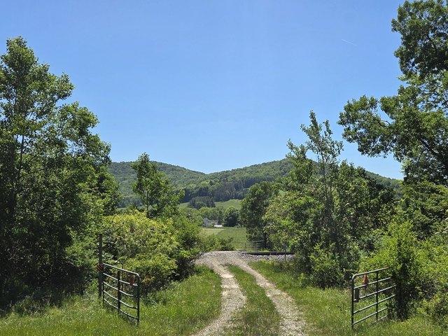 Land for sale in Olean, New York