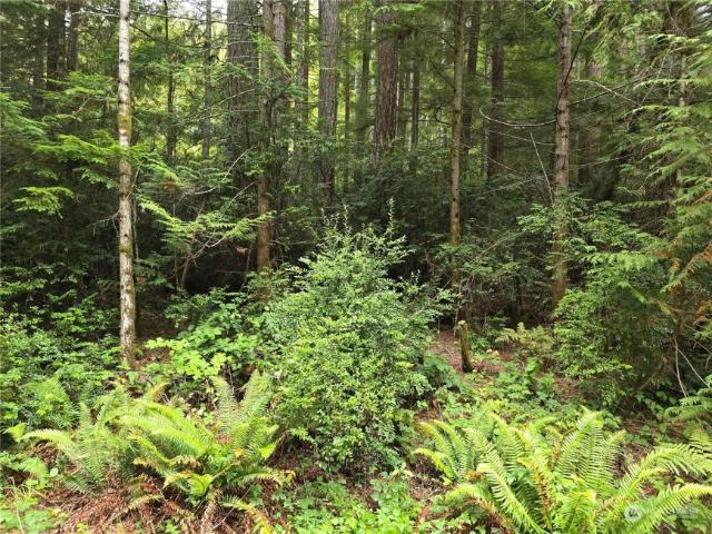 Land for sale in Lilliwaup