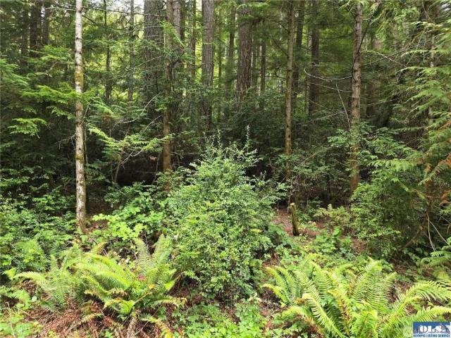 Land for sale in Lilliwaup