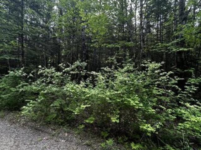 Land for sale in Newport, Penobscot County