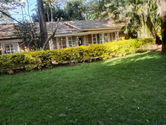 House for rent