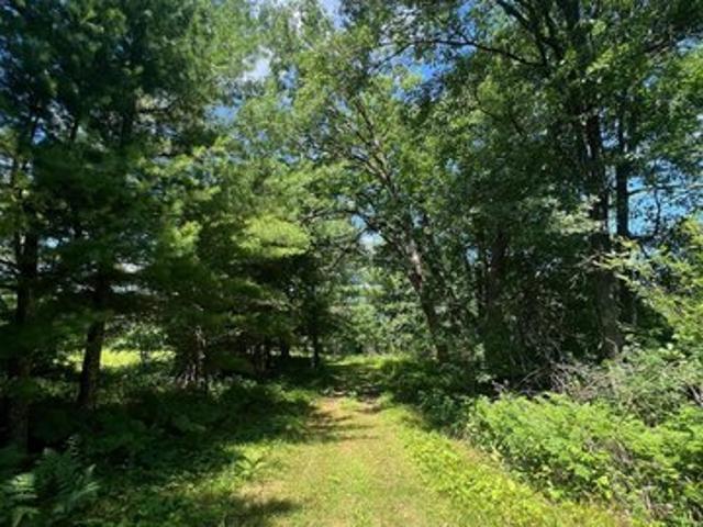 Land for sale in Webster, Wisconsin