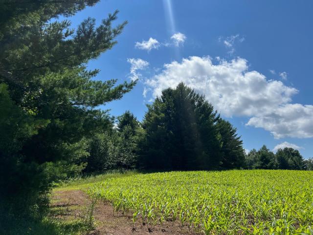 Land for sale in Wisconsin