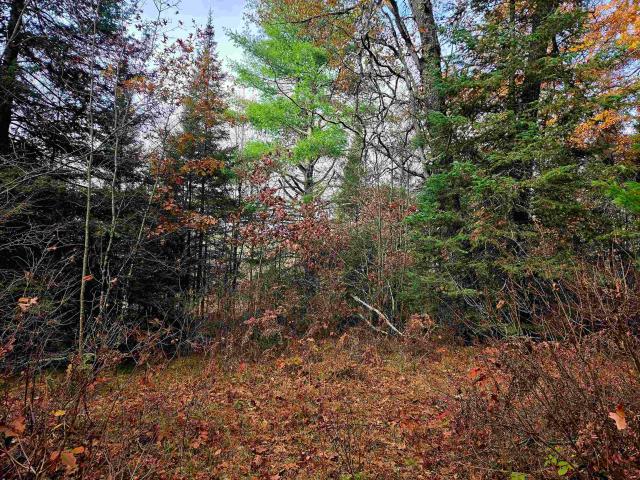 Land for sale in Town of Dunbar, Marinette County