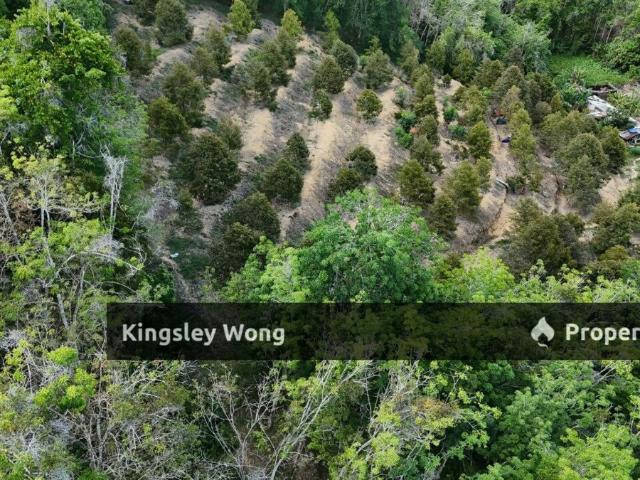 Property for sale in Perak, Liman Kati