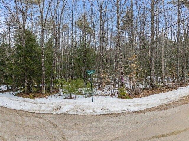 Land for sale in Limerick, Maine