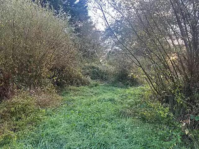 Terrain vente à Vannes, Bretagne
