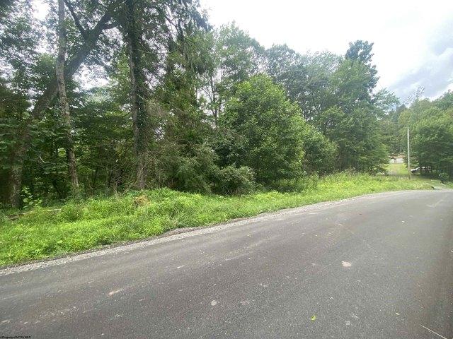 Land for sale in Parsons, West Virginia
