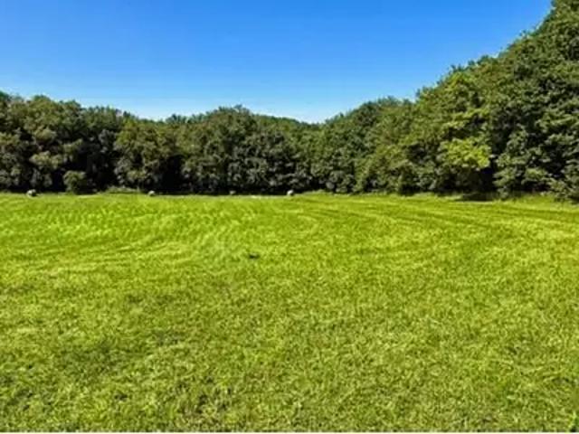 Terrain vente à Sarlat-la-Canéda, Limeuil