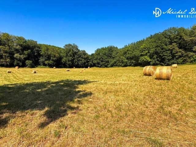 Terrain vente à Sarlat-la-Canéda, Limeuil