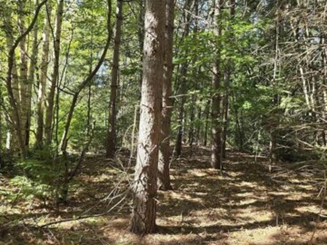 Land for sale in Atlantic Mine