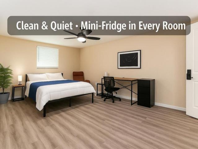 Room for rent in Port Richey, Florida