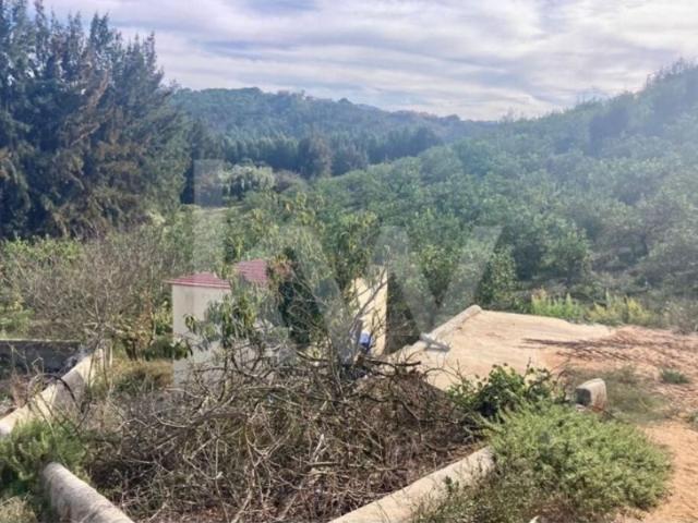 Terreno venda em Santo Isidoro, Mafra