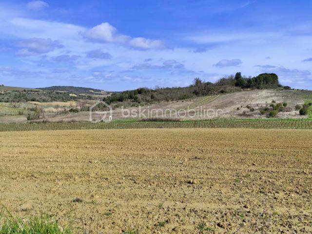 Terrain vente à Limoux