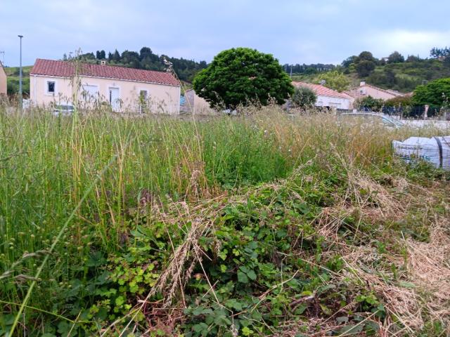 Terrain vente à Limoux