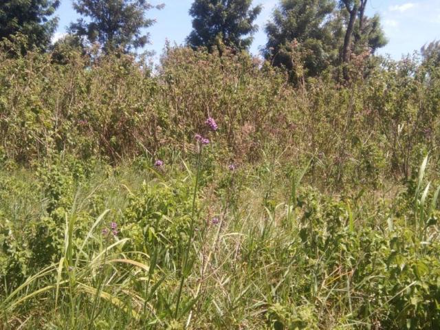 Land for sale in Kiambu