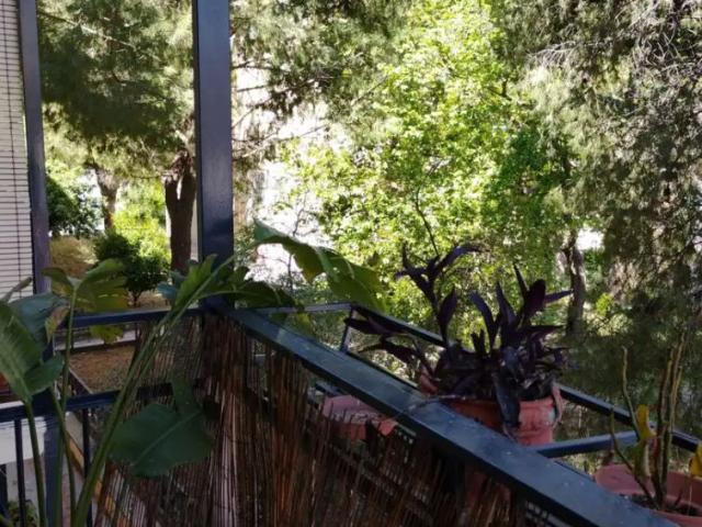 Apartamento en alquiler en Linares, Andalucía