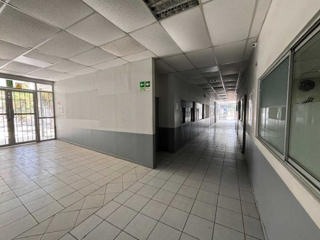 Linares, Amplia Propiedad Comercial Zona Estratégica 146461
